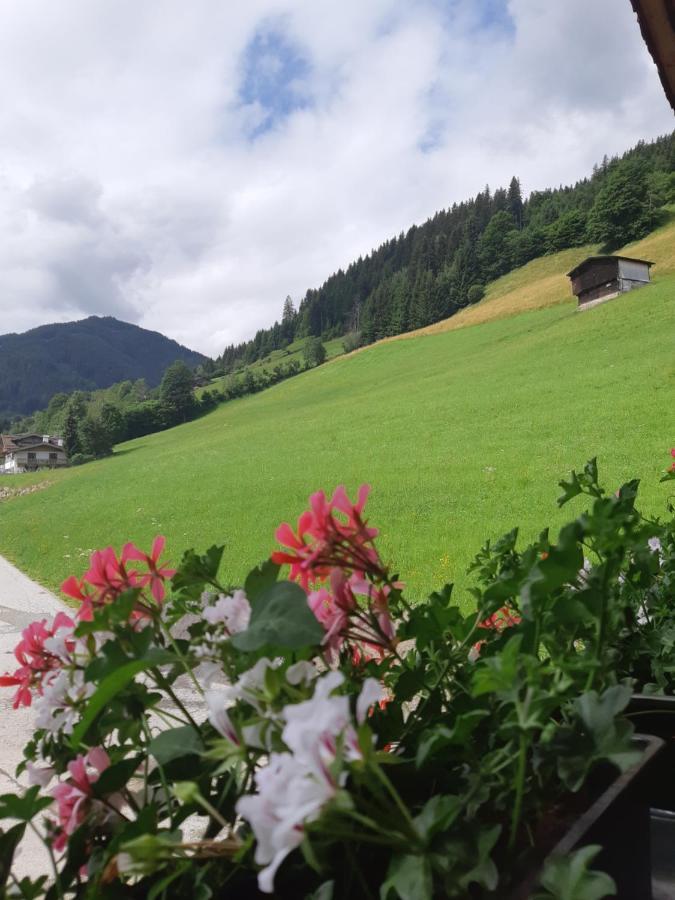 Ferienwohnung Schatzhof Jochberg Luaran gambar