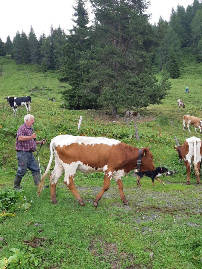 Ferienwohnung Schatzhof Jochberg Luaran gambar